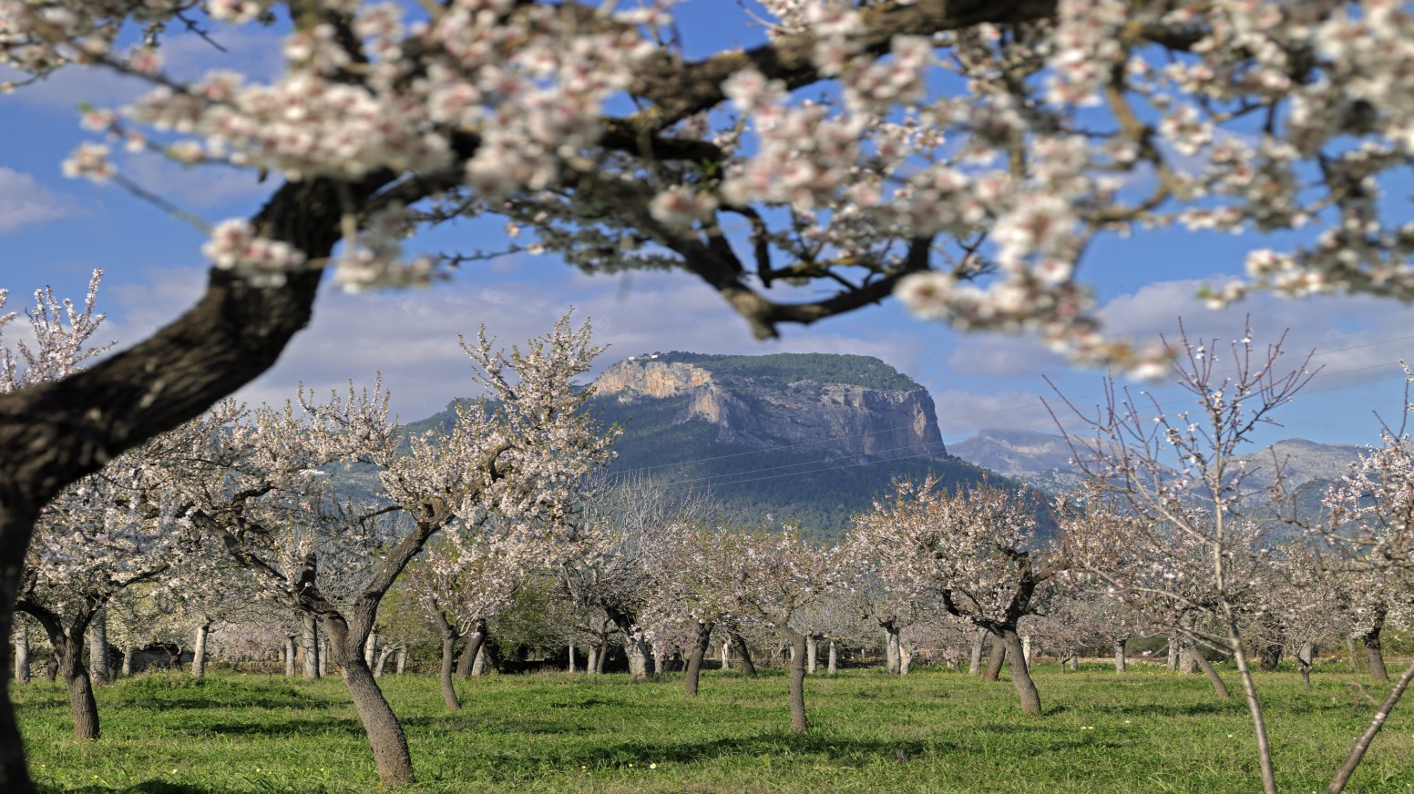 Invierno en Mallorca